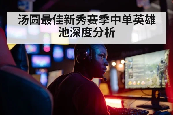 汤圆最佳新秀赛季中单英雄池深度分析